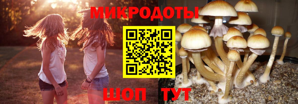 Галлюциногенные грибы мухоморы  Галлюциногенные грибы прущие грибы  Волгоград  Вход с VPN 